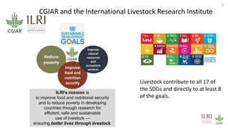 Food safety research and training in informal/wet markets in Southeast Asia