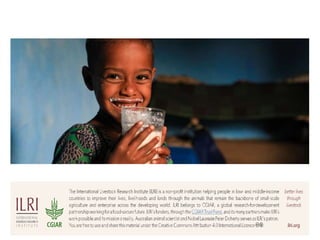 Food safety in a social context