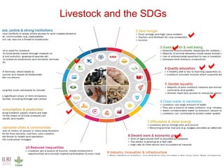 Food safety solutions