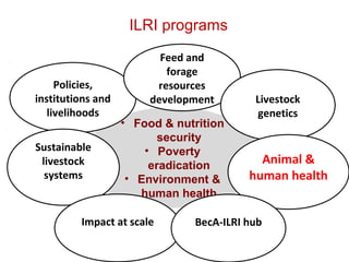Food safety solutions