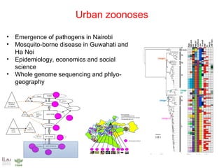 Food safety solutions