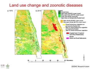 Food safety solutions