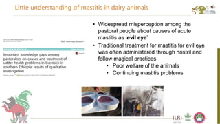 Better food safety solutions in Africa: Understanding the complex social, economic and policy perspectives