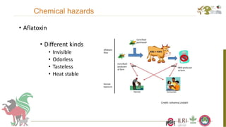 Better food safety solutions in Africa: Understanding the complex social, economic and policy perspectives