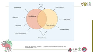 Better food safety solutions in Africa: Understanding the complex social, economic and policy perspectives