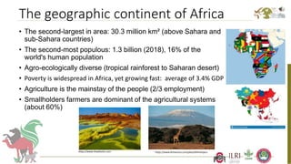 The geographic continent of Africa
• The second-largest in area: 30.3 million km² (above Sahara and
sub-Sahara countries)
...