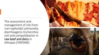 Better food safety solutions in Africa: Understanding the complex social, economic and policy perspectives