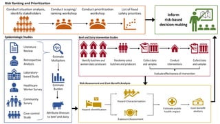 Better food safety solutions in Africa: Understanding the complex social, economic and policy perspectives