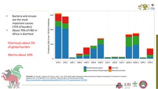 Better food safety solutions in Africa: Understanding the complex social, economic and policy perspectives