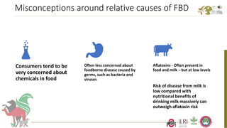 Better food safety solutions in Africa: Understanding the complex social, economic and policy perspectives