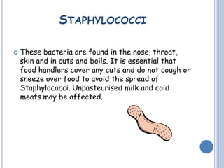 STAPHYLOCOCCI
 These bacteria are found in the nose, throat,
skin and in cuts and boils. It is essential that
food handlers cover any cuts and do not cough or
sneeze over food to avoid the spread of
Staphylococci. Unpasteurised milk and cold
meats may be affected.
 