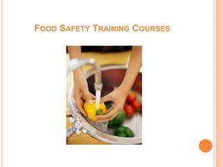 Food Safety Training Courses 