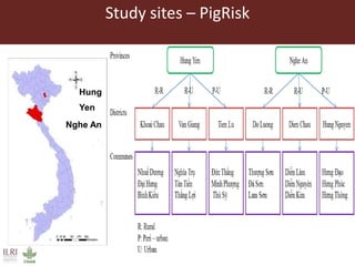 Food safety in Vietnam’s livestock sector