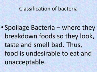 Classification of bacteria
• Spoilage Bacteria – where they
breakdown foods so they look,
taste and smell bad. Thus,
food is undesirable to eat and
unacceptable.
 