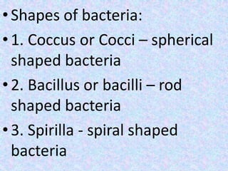 • Shapes of bacteria:
• 1. Coccus or Cocci – spherical
shaped bacteria
• 2. Bacillus or bacilli – rod
shaped bacteria
• 3. Spirilla - spiral shaped
bacteria
 