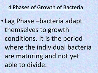 4 Phases of Growth of Bacteria
• Lag Phase –bacteria adapt
themselves to growth
conditions. It is the period
where the individual bacteria
are maturing and not yet
able to divide.
 