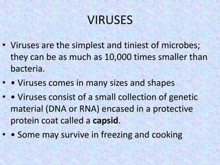 VIRUSES
• Viruses are the simplest and tiniest of microbes;
they can be as much as 10,000 times smaller than
bacteria.
• • Viruses comes in many sizes and shapes
• • Viruses consist of a small collection of genetic
material (DNA or RNA) encased in a protective
protein coat called a capsid.
• • Some may survive in freezing and cooking
 