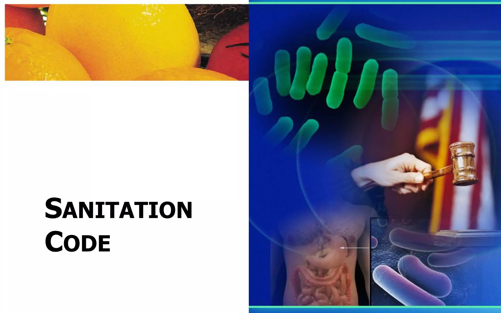 Food sanitation training | PDF