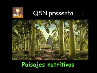 QSN presenta . . . ,[object Object]