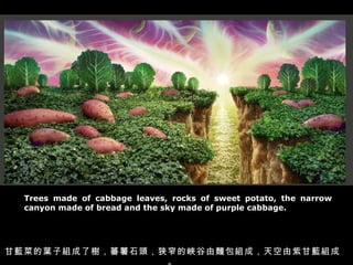 Trees made of cabbage leaves, rocks of sweet potato, the narrow canyon made of bread and the sky made of purple cabbage. 甘藍菜的葉子組成了樹，蕃薯石頭，狹窄的峽谷由麵包組成，天空由紫甘藍組成。 