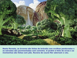 Nesta floresta, as árvores são feitas de brócolis com ervilhas penduradas e as estradas são pavimentadas com cominho. O jardim é feito de ervas e as montanhas são feitas com pão. Nuvens de couve-flor adornam o céu. 