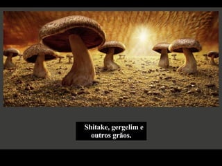 Shitake, gergelim e outros grãos. 