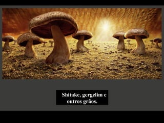 Shitake, gergelim e
outros grãos.
 