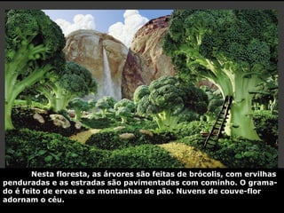 Nesta floresta, as árvores são feitas de brócolis, com ervilhas
penduradas e as estradas são pavimentadas com cominho. O grama-
do é feito de ervas e as montanhas de pão. Nuvens de couve-flor
adornam o céu.
 