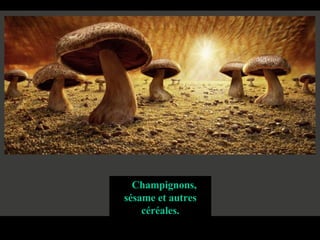 Champignons, sésame et autres céréales. 