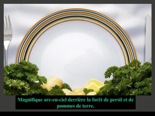 Magnifique arc-en-ciel derrière la forêt de persil et de pommes de terre. 