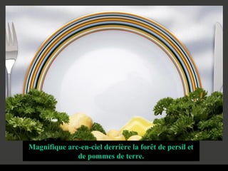 Magnifique arc-en-ciel derrière la forêt de persil et
              de pommes de terre.
 