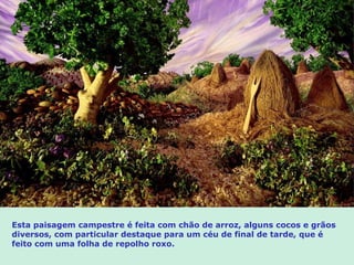 Esta paisagem campestre é feita com chão de arroz, alguns cocos e grãos
diversos, com particular destaque para um céu de final de tarde, que é
feito com uma folha de repolho roxo.
 