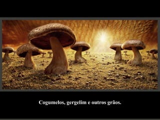 Cogumelos, gergelim e outros grãos. 