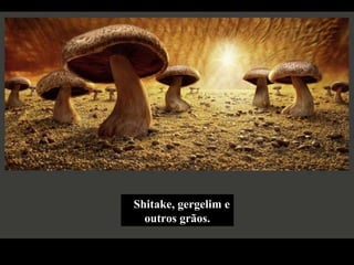 Shitake, gergelim e outros grãos. 