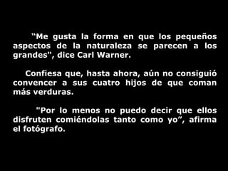 “ Me gusta la forma en que los pequeños aspectos de la naturaleza se parecen a los grandes", dice Carl Warner.  Confiesa que, hasta ahora, aún no consiguió convencer a sus cuatro hijos de que coman más verduras.  "Por lo menos no puedo decir que ellos disfruten comiéndolas tanto como yo”, afirma el fotógrafo. 