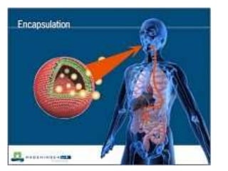 Applications of Nanotechnology in food science | PPTX