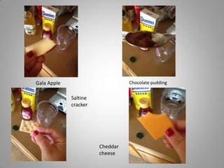 Chocolate pudding

Gala Apple
Saltine
cracker

Cheddar
cheese

 