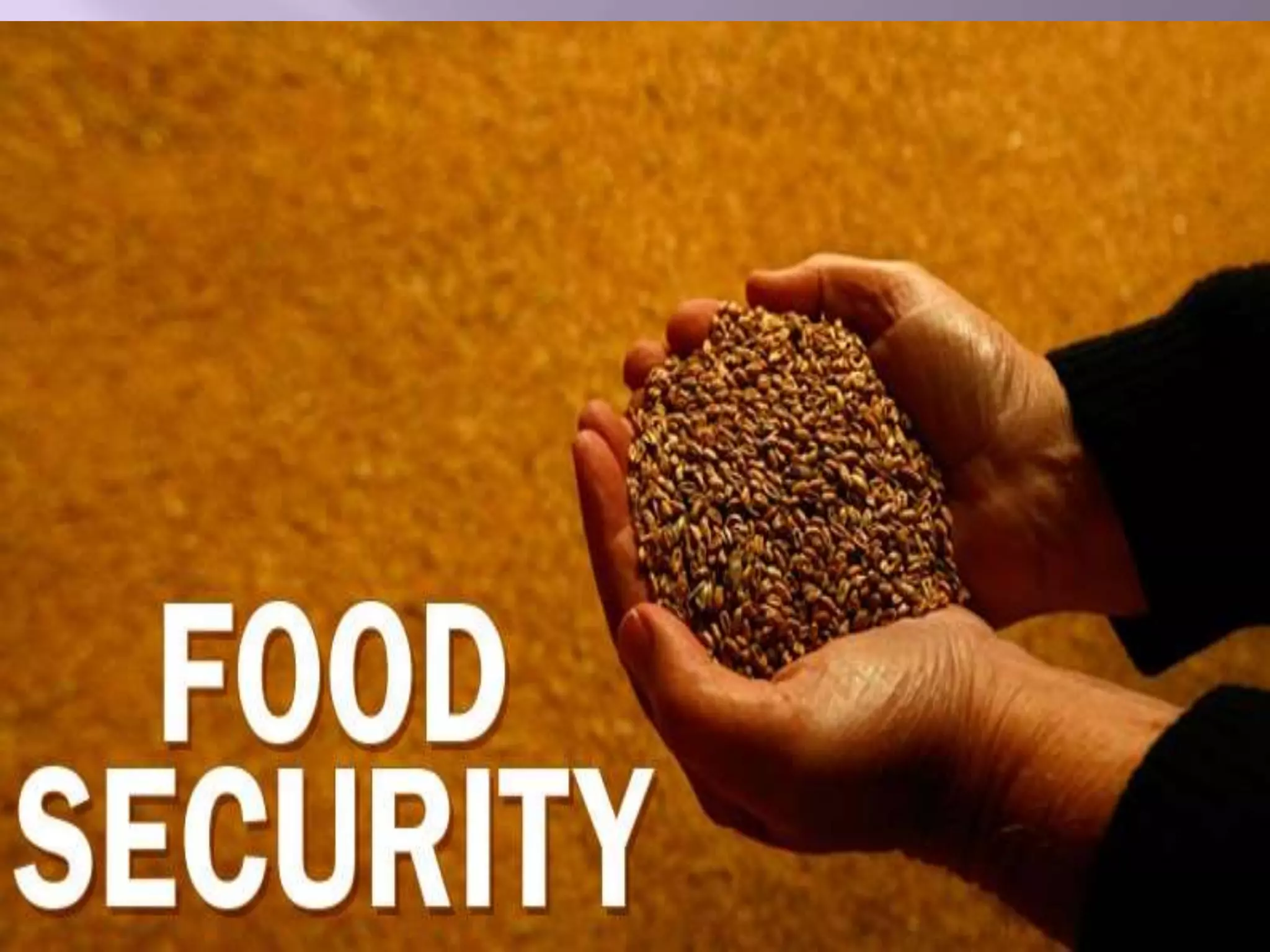 Food security | PPTX