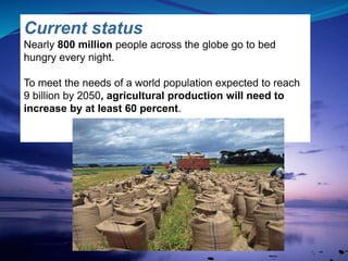 Current status
Nearly 800 million people across the globe go to bed
hungry every night.
To meet the needs of a world population expected to reach
9 billion by 2050, agricultural production will need to
increase by at least 60 percent.
 