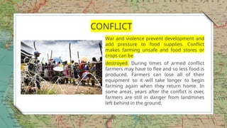 13
CONFLICT
War and violence prevent development and
add pressure to food supplies. Conflict
makes farming unsafe and food stores or
crops can be
destroyed. During times of armed conflict
farmers may have to flee and so less food is
produced. Farmers can lose all of their
equipment so it will take longer to begin
farming again when they return home. In
some areas, years after the conflict is over,
farmers are still in danger from landmines
left behind in the ground.
 