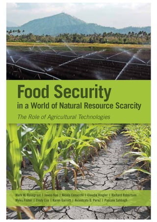 Food Security

in a World of Natural Resource Scarcity
The Role of Agricultural Technologies

Mark W. Rosegrant | Jawoo Koo | Nicola Cenacchi | Claudia Ringler | Richard Robertson
Myles Fisher | Cindy Cox | Karen Garrett | Nicostrato D. Perez | Pascale Sabbagh

 