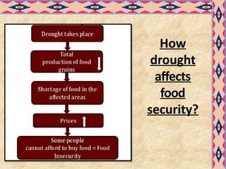 How
drought
affects
food
security?
 