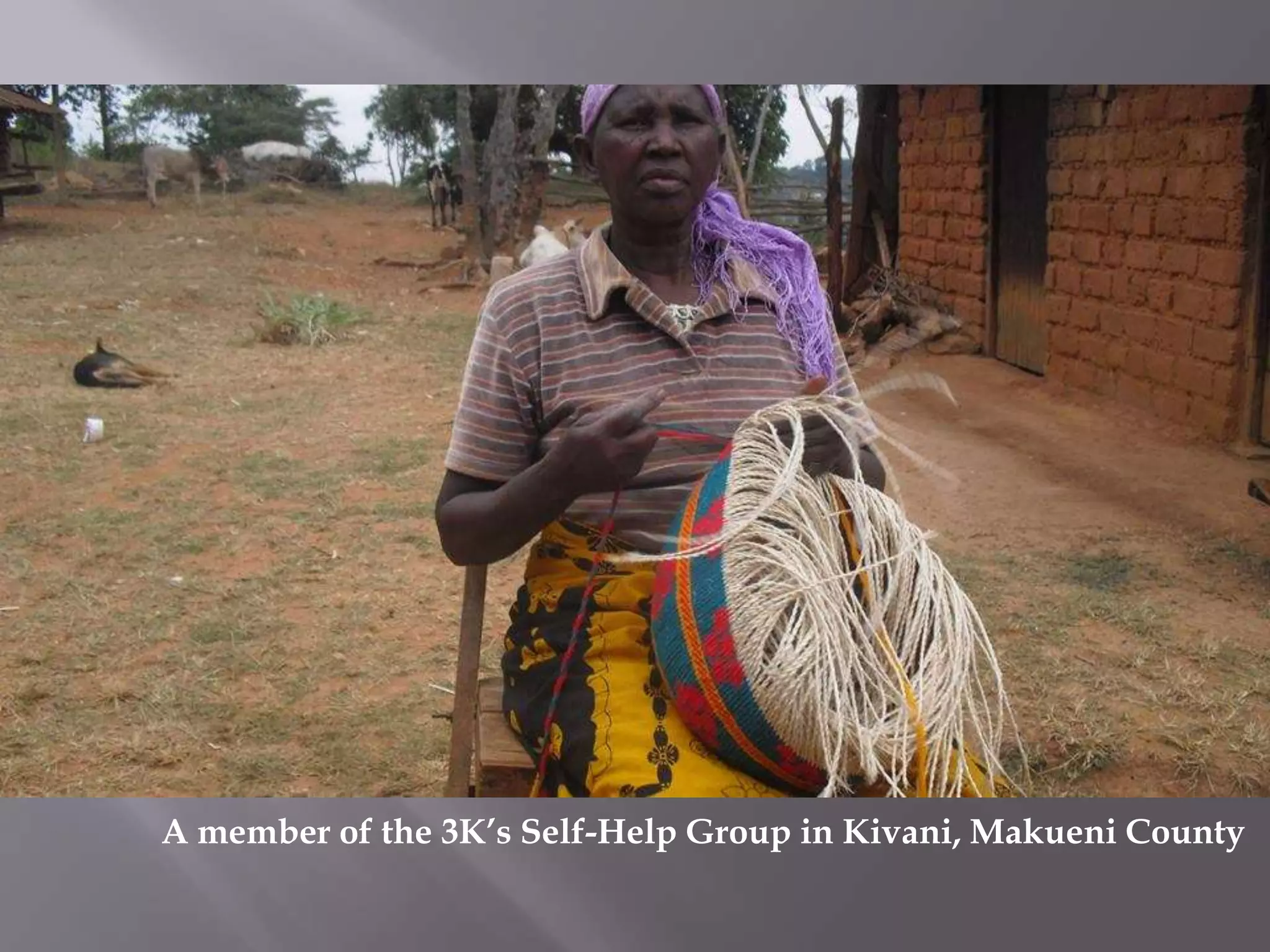 A member of the 3K’s Self-Help Group in Kivani, Makueni County
