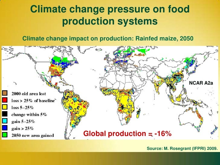 global food security