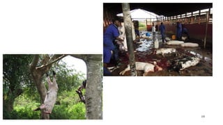 No food security without food safety: Lessons from low- and middle-income countries