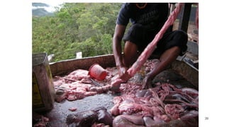 No food security without food safety: Lessons from low- and middle-income countries