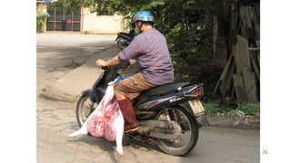 No food security without food safety: Lessons from low- and middle-income countries