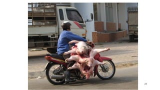 No food security without food safety: Lessons from low- and middle-income countries