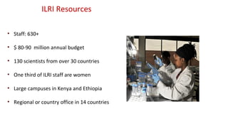 No food security without food safety: Lessons from low- and middle-income countries