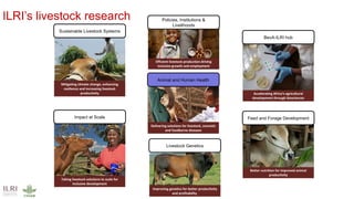 No food security without food safety: Lessons from low- and middle-income countries